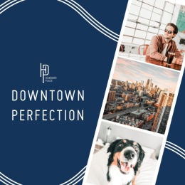 Lease your next apartment at Hubbard Place, a pet-friendly River North community offering spacious studio, 1-, and 2-bedroom layouts.