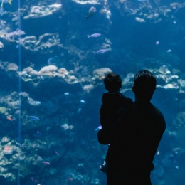 A day at Shedd Aquarium? Just a short drive from home at Hubbard Place.