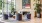 a room with a fireplace and potted plants