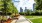 a walkway with trees and plants with buildings in the background